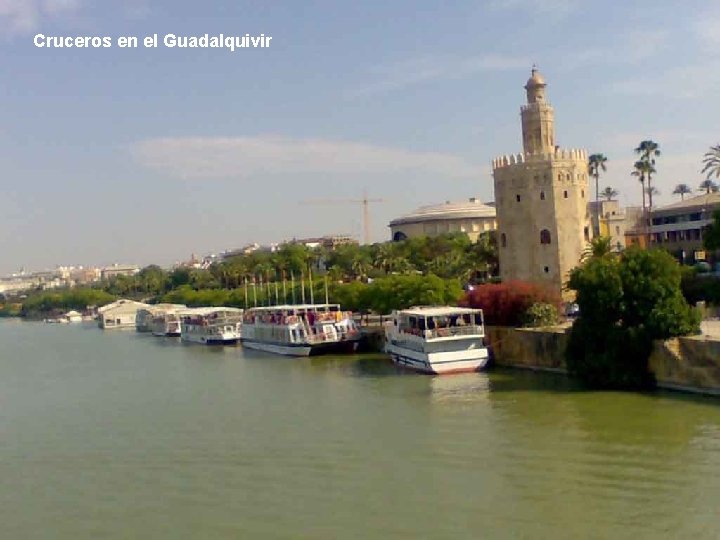 Cruceros en el Guadalquivir 