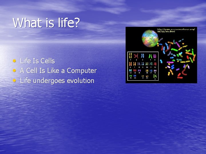 What is life? • Life Is Cells • A Cell Is Like a Computer