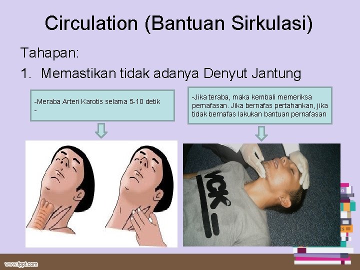 Circulation (Bantuan Sirkulasi) Tahapan: 1. Memastikan tidak adanya Denyut Jantung -Meraba Arteri Karotis selama