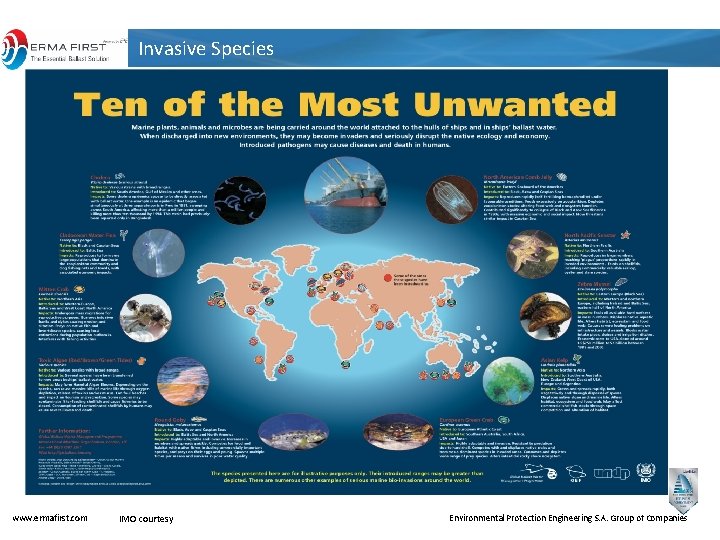 Invasive Species www. ermafirst. com IMO courtesy Environmental Protection Engineering S. A. Group of