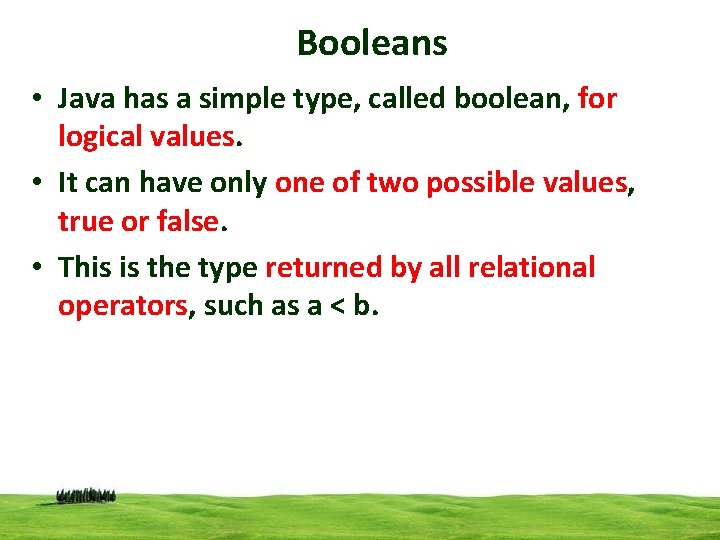 Booleans • Java has a simple type, called boolean, for logical values. • It