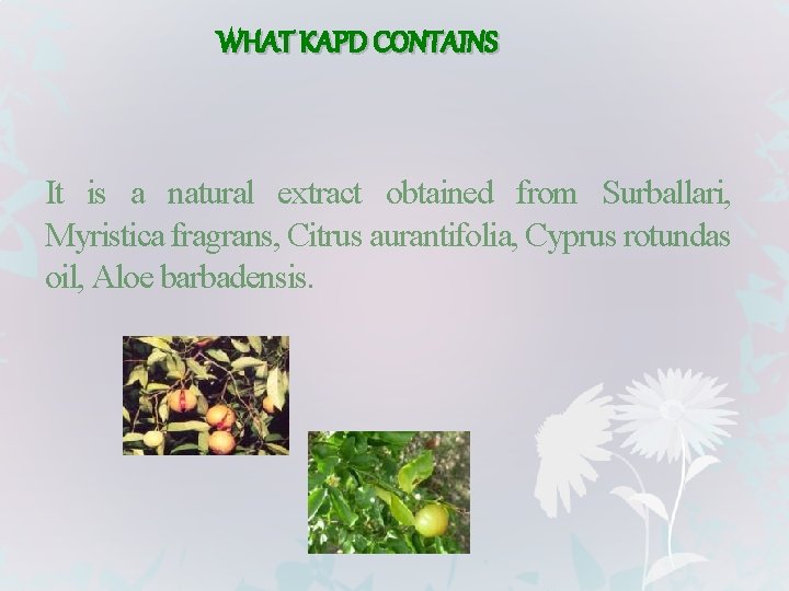 WHAT KAPD CONTAINS It is a natural extract obtained from Surballari, Myristica fragrans, Citrus