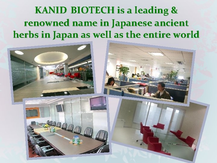 KANID BIOTECH is a leading & renowned name in Japanese ancient herbs in Japan