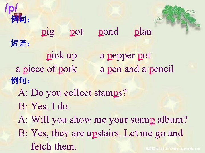 /p/ 例词： pig pot pond plan 短语： pick up a piece of pork a