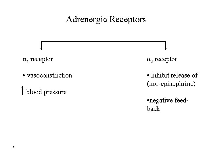 Adrenergic Receptors α 1 receptor α 2 receptor • vasoconstriction • inhibit release of