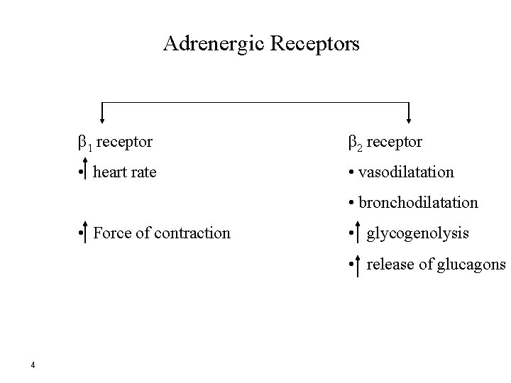 Adrenergic Receptors β 1 receptor β 2 receptor • heart rate • vasodilatation •