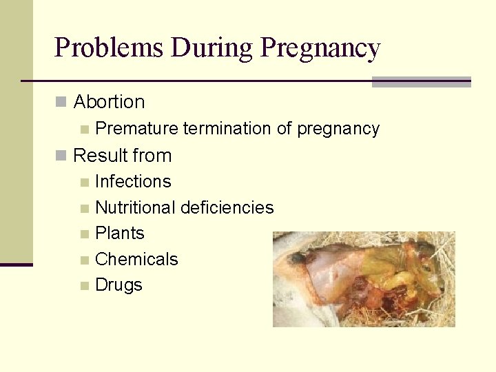 Problems During Pregnancy n Abortion n Premature termination of pregnancy n Result from n