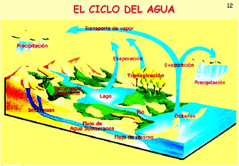 EL CICLO DEL AGUA 12 