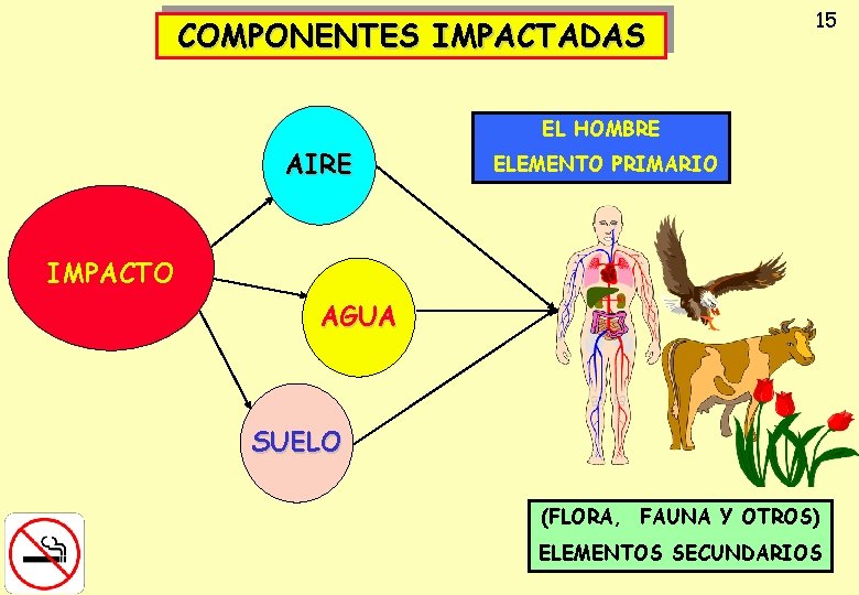 COMPONENTES IMPACTADAS 15 EL HOMBRE AIRE ELEMENTO PRIMARIO IMPACTO AGUA SUELO (FLORA, FAUNA Y