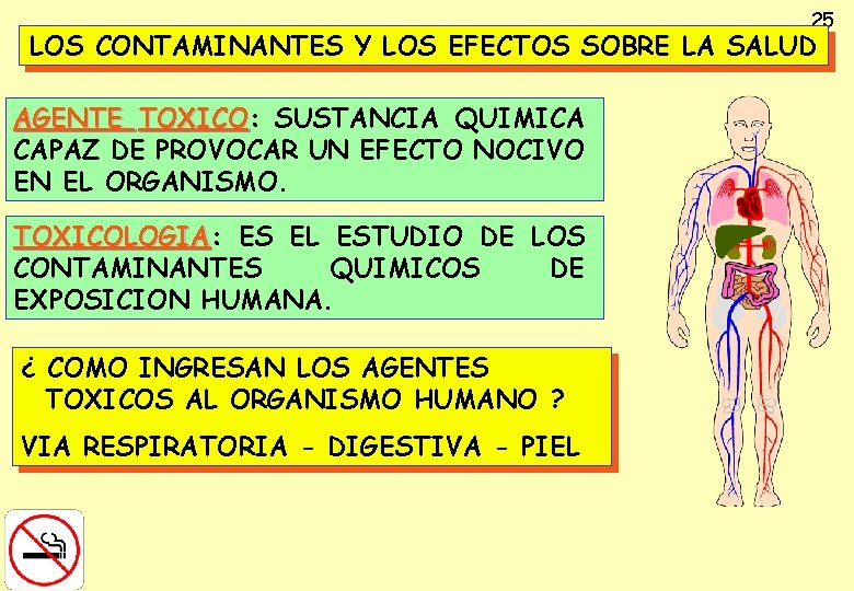 25 LOS CONTAMINANTES Y LOS EFECTOS SOBRE LA SALUD AGENTE TOXICO: TOXICO SUSTANCIA QUIMICA