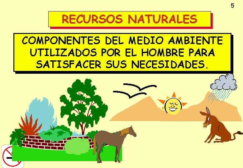 5 RECURSOS NATURALES COMPONENTES DEL MEDIO AMBIENTE UTILIZADOS POR EL HOMBRE PARA SATISFACER SUS