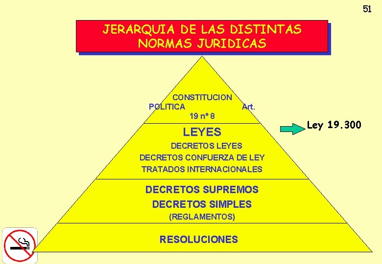 51 JERARQUIA DE LAS DISTINTAS NORMAS JURIDICAS CONSTITUCION POLITICA 19 nº 8 Art. LEYES
