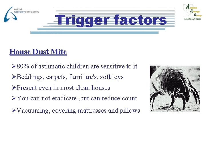 Trigger factors House Dust Mite Ø 80% of asthmatic children are sensitive to it