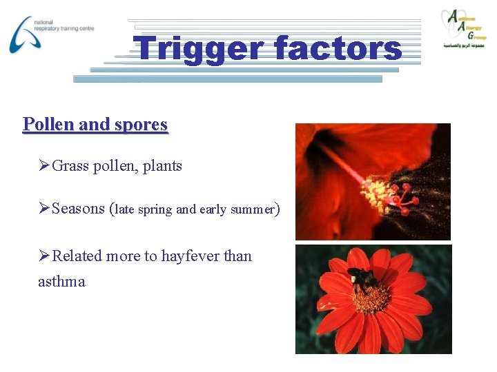 Trigger factors Pollen and spores ØGrass pollen, plants ØSeasons (late spring and early summer)