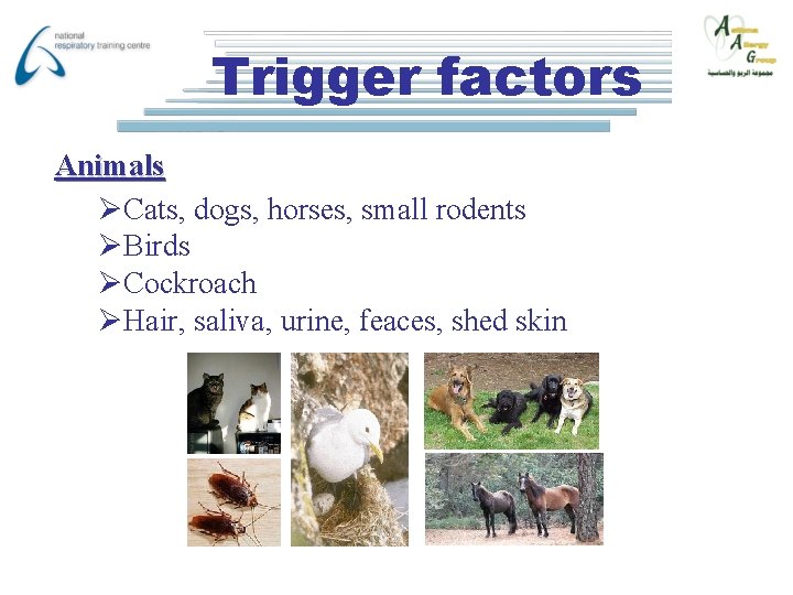 Trigger factors Animals ØCats, dogs, horses, small rodents ØBirds ØCockroach ØHair, saliva, urine, feaces,