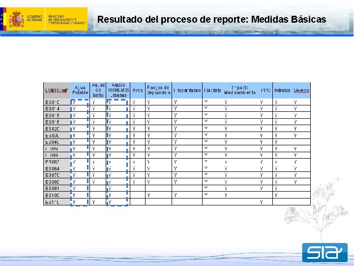 Resultado del proceso de reporte: Medidas Básicas 