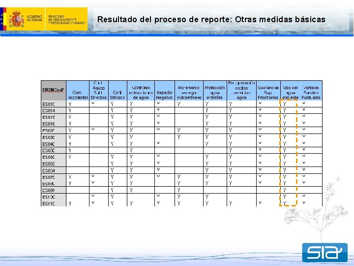 Resultado del proceso de reporte: Otras medidas básicas 