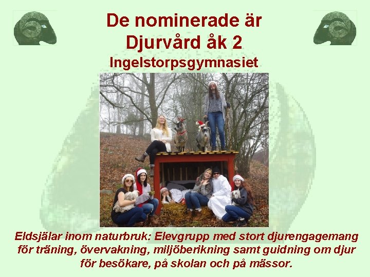 De nominerade är Djurvård åk 2 Ingelstorpsgymnasiet Eldsjälar inom naturbruk: Elevgrupp med stort djurengagemang