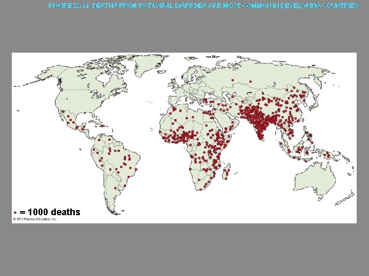 FIGURE 23. 14 DEATHS FROM ROTAVIRAL DIARRHEA ARE MOST COMMON IN DEVELOPING COUNTRIES 1000
