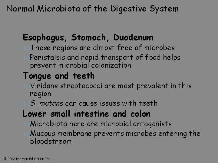 Normal Microbiota of the Digestive System Esophagus, Stomach, Duodenum These regions are almost free
