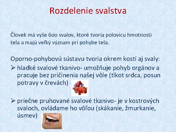 Rozdelenie svalstva Človek má vyše 6 oo svalov, ktoré tvoria polovicu hmotnosti tela a