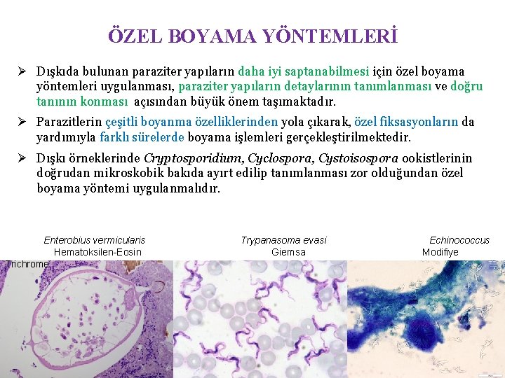 ÖZEL BOYAMA YÖNTEMLERİ Ø Dışkıda bulunan paraziter yapıların daha iyi saptanabilmesi için özel boyama