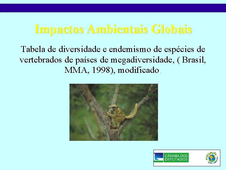 Impactos Ambientais Globais Tabela de diversidade e endemismo de espécies de vertebrados de países