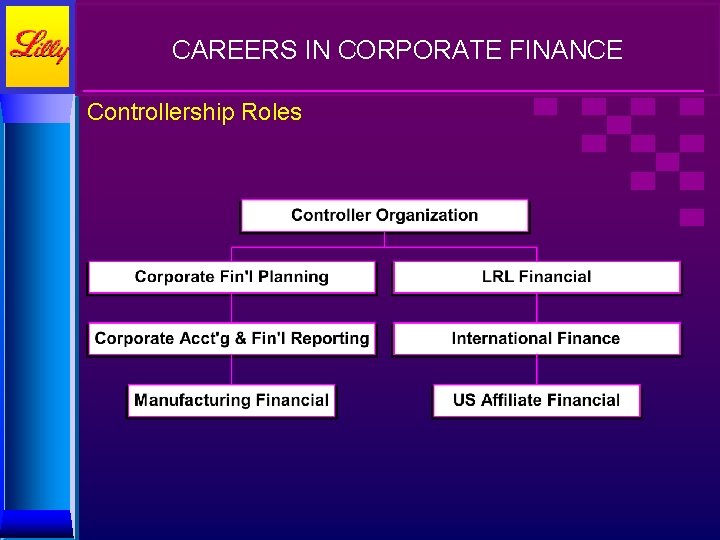 CAREERS IN CORPORATE FINANCE Controllership Roles 