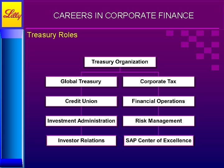 CAREERS IN CORPORATE FINANCE Treasury Roles 