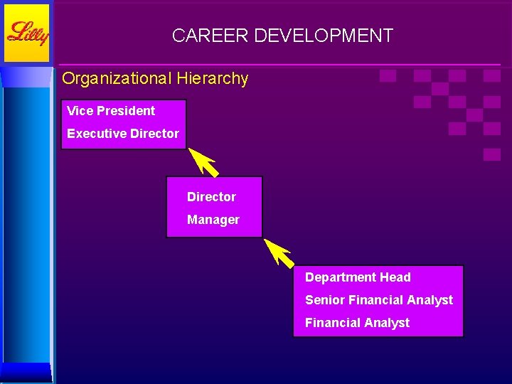 CAREER DEVELOPMENT Organizational Hierarchy Vice President Executive Director Manager Department Head Senior Financial Analyst