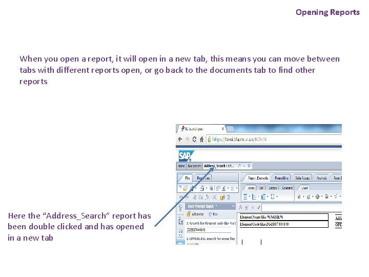 Opening Reports When you open a report, it will open in a new tab,