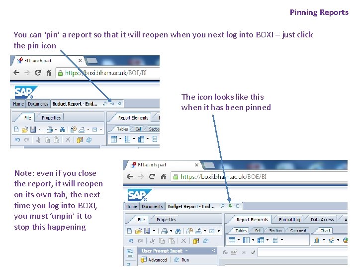 Pinning Reports You can ‘pin’ a report so that it will reopen when you