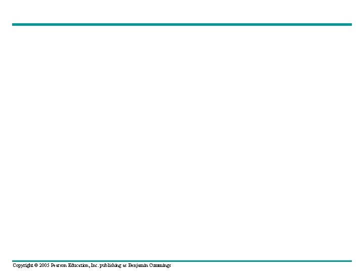 Copyright © 2005 Pearson Education, Inc. publishing as Benjamin Cummings 