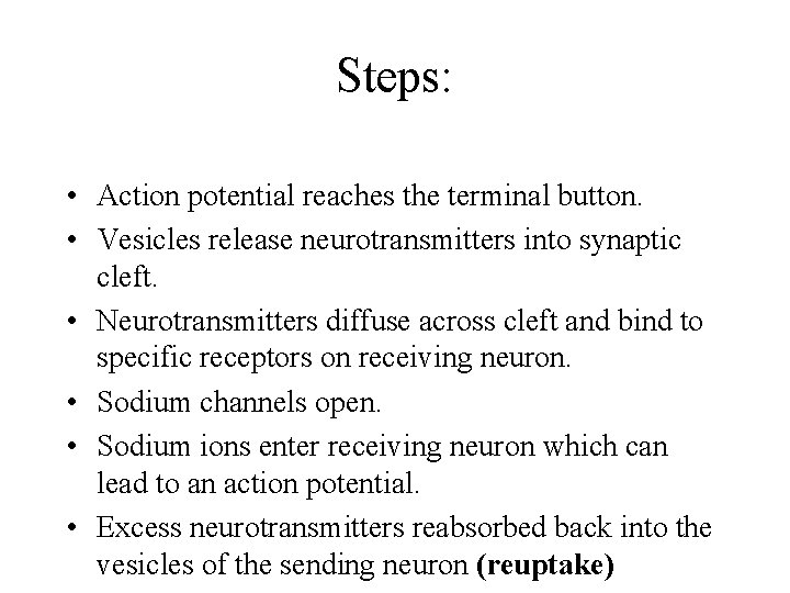 Steps: • Action potential reaches the terminal button. • Vesicles release neurotransmitters into synaptic