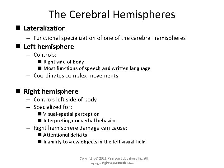 The Cerebral Hemispheres n Lateralization – Functional specialization of one of the cerebral hemispheres