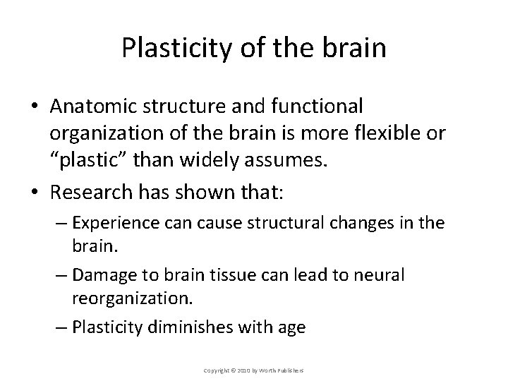 Plasticity of the brain • Anatomic structure and functional organization of the brain is