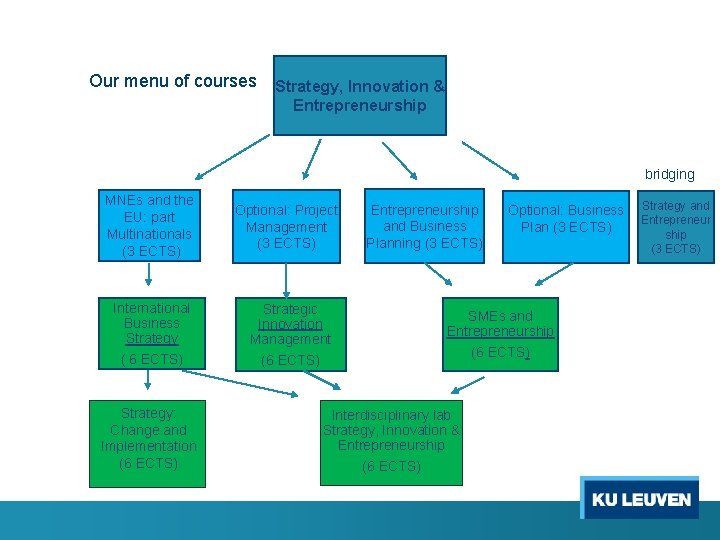 Our menu of courses Strategy, Innovation & Entrepreneurship bridging MNEs and the EU: part