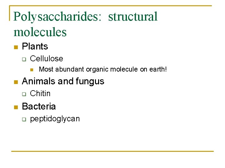 Polysaccharides: structural molecules n Plants q Cellulose n n Animals and fungus q n