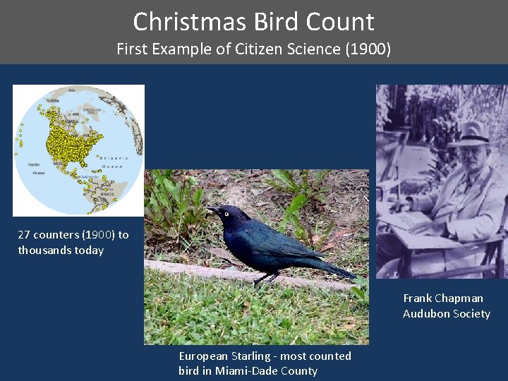 Christmas Bird Count First Example of Citizen Science (1900) 27 counters (1900) to thousands