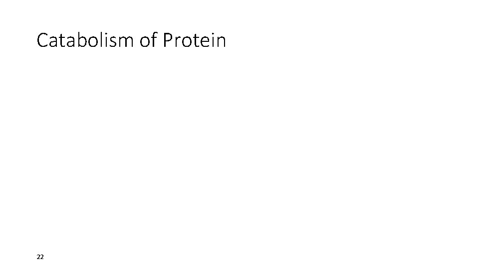 Catabolism of Protein 22 