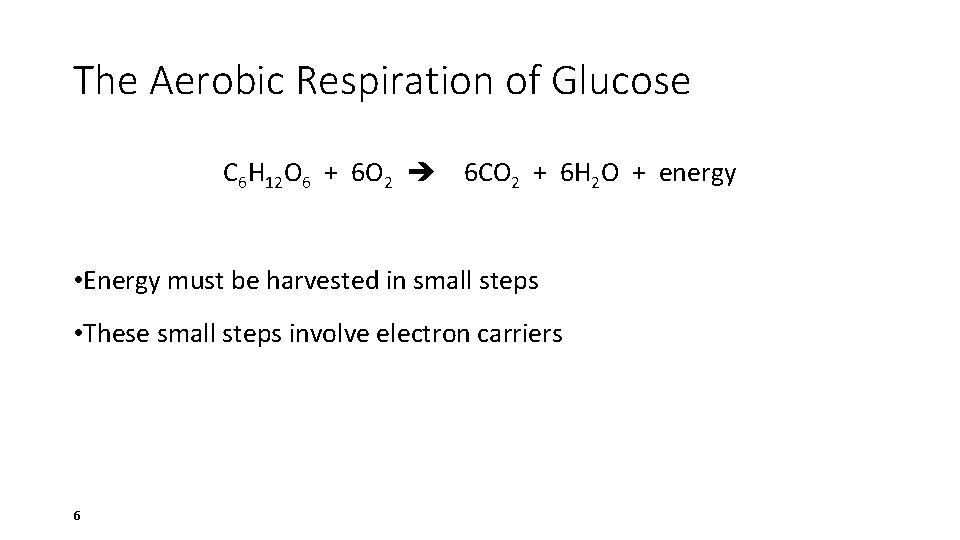 The Aerobic Respiration of Glucose C 6 H 12 O 6 + 6 O