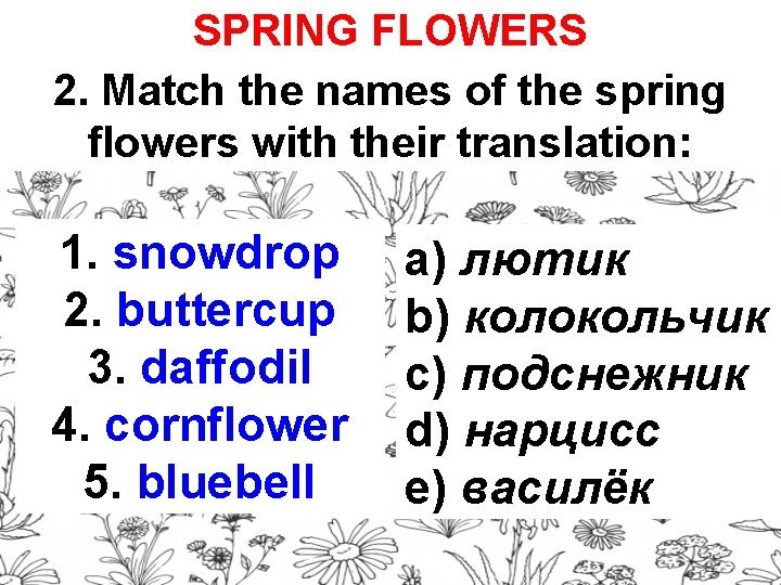 SPRING FLOWERS 2. Match the names of the spring flowers with their translation: 1.
