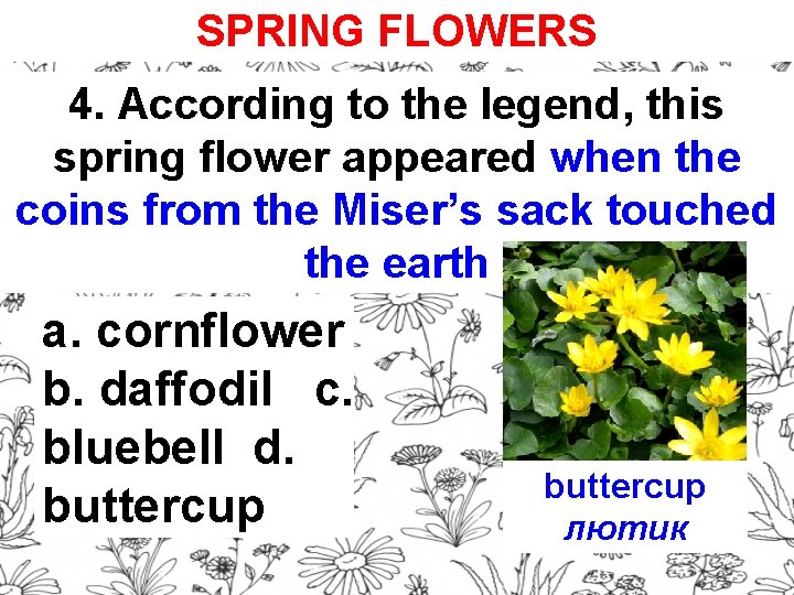 SPRING FLOWERS 4. According to the legend, this spring flower appeared when the coins