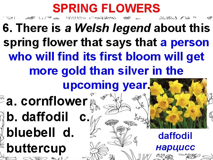 SPRING FLOWERS 6. There is a Welsh legend about this spring flower that says