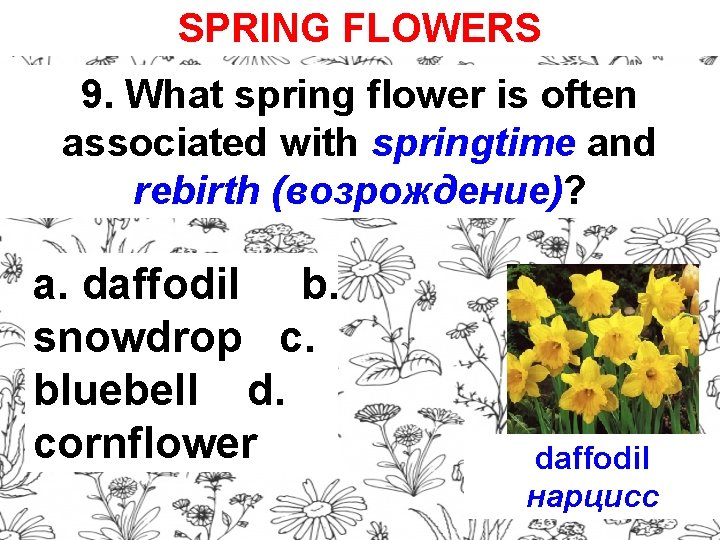 SPRING FLOWERS 9. What spring flower is often associated with springtime and rebirth (возрождение)?