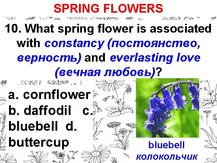 SPRING FLOWERS 10. What spring flower is associated with constancy (постоянство, верность) and everlasting