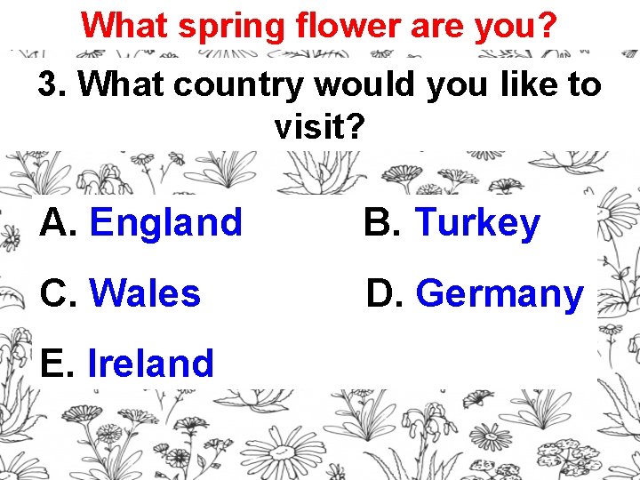 What spring flower are you? 3. What country would you like to visit? A.