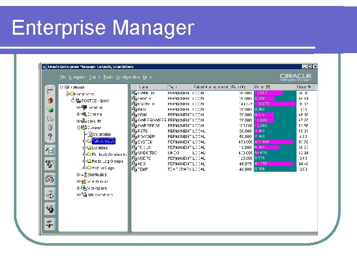 Enterprise Manager 