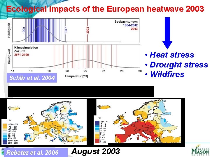 Ecological impacts of the European heatwave 2003 • Heat stress • Drought stress •