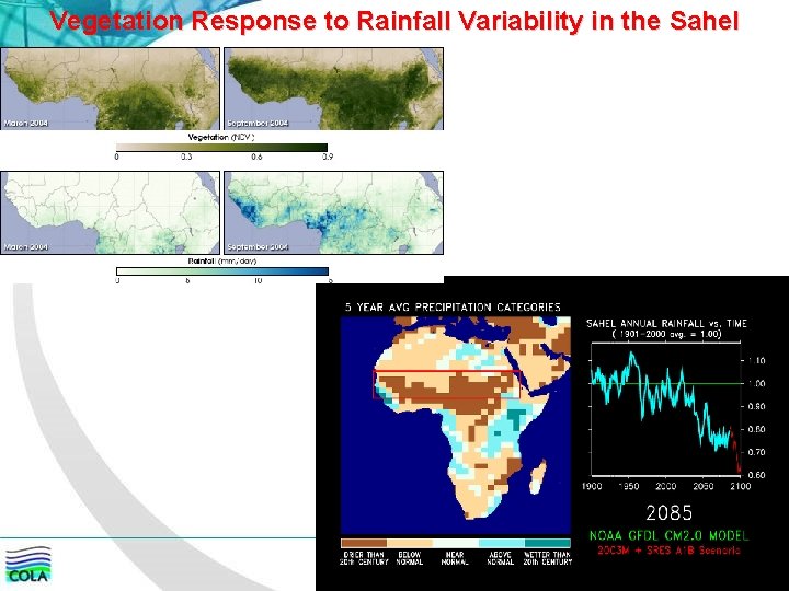 Vegetation Response to Rainfall Variability in the Sahel 